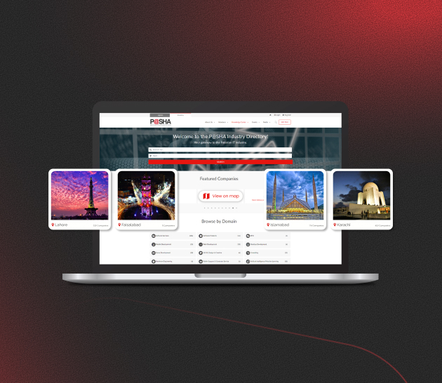 dx-case-studies-pasha